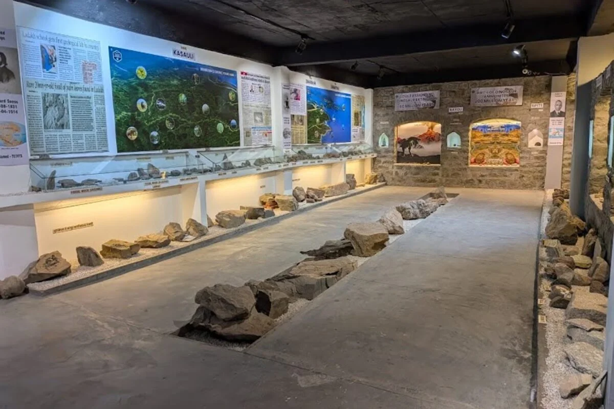 Tethys Fossil Museum